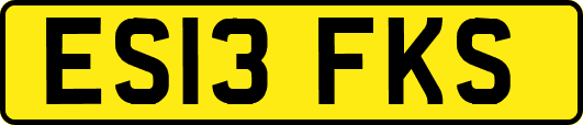 ES13FKS