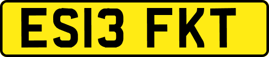 ES13FKT