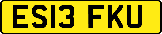 ES13FKU