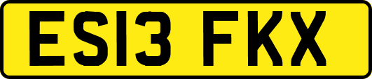 ES13FKX