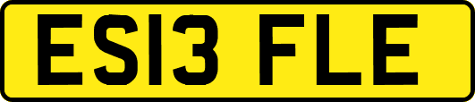 ES13FLE