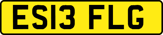 ES13FLG