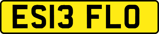 ES13FLO