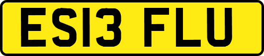 ES13FLU