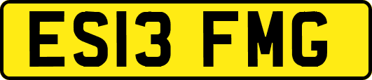 ES13FMG