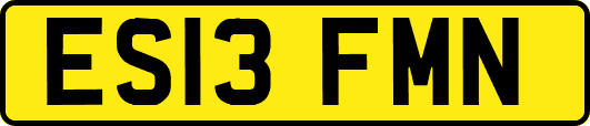 ES13FMN