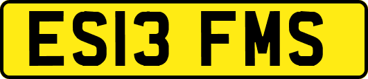 ES13FMS