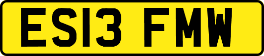 ES13FMW