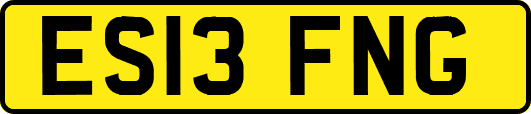 ES13FNG
