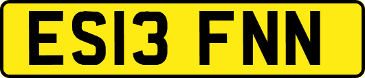 ES13FNN