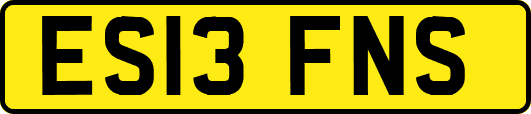 ES13FNS