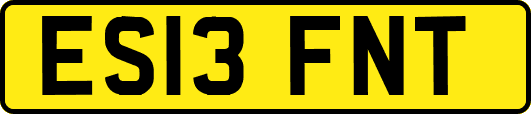 ES13FNT