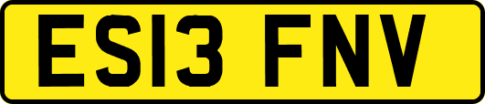 ES13FNV