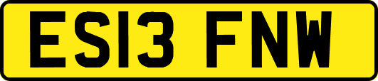 ES13FNW