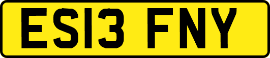 ES13FNY