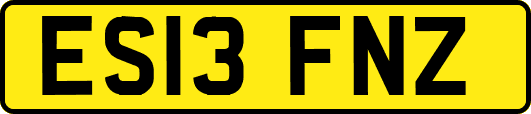 ES13FNZ
