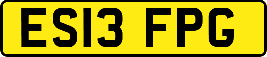 ES13FPG