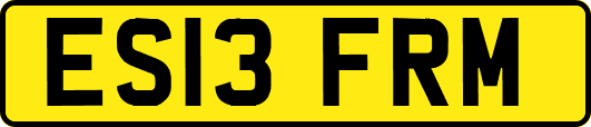 ES13FRM