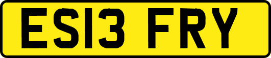 ES13FRY