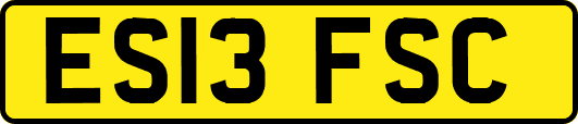 ES13FSC