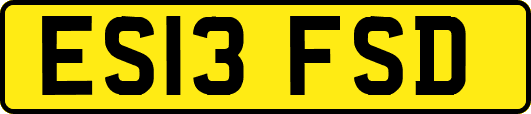 ES13FSD