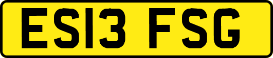 ES13FSG