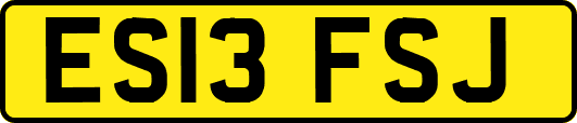 ES13FSJ