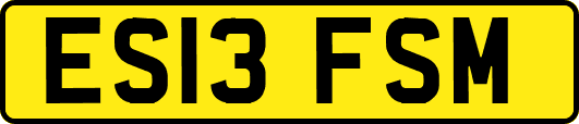 ES13FSM