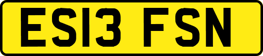 ES13FSN