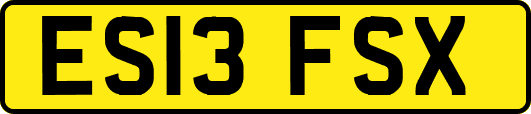 ES13FSX