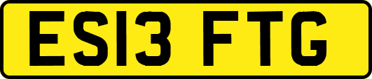 ES13FTG