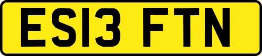 ES13FTN
