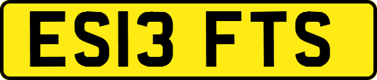 ES13FTS