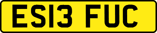 ES13FUC