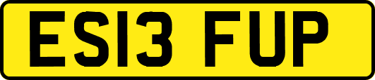 ES13FUP