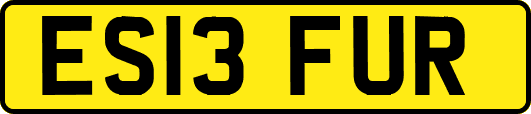 ES13FUR