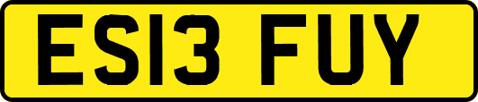 ES13FUY