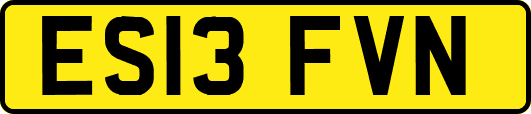 ES13FVN
