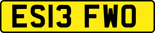ES13FWO