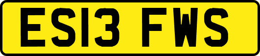 ES13FWS