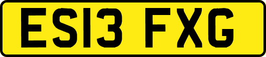 ES13FXG