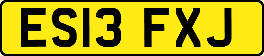 ES13FXJ