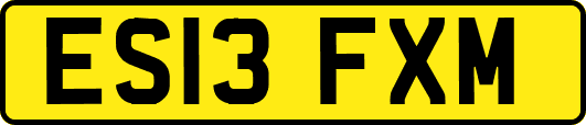 ES13FXM