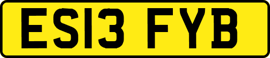 ES13FYB