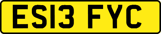 ES13FYC