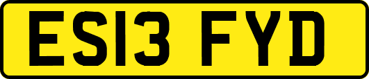 ES13FYD