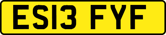 ES13FYF