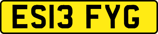 ES13FYG