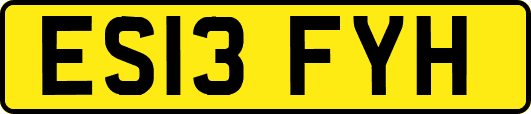 ES13FYH