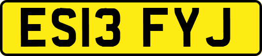 ES13FYJ
